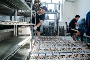 An advanced mining rig setup, illustrating its efficiency in handling multiple cryptocurrencies like Bitcoin and Ethereum